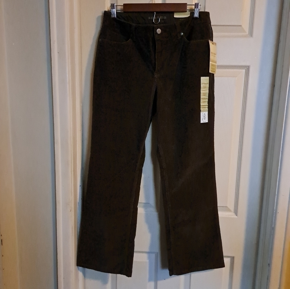 Sonoma NWT corduroy original boot dark brown pants size 10 short